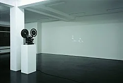 Pumhösl 2007 — Florian Pumhösl — Exhibitions — Galerie Buchholz — Image 29