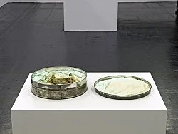 Yellow Movies — Tony Conrad — Exhibitions — Galerie Buchholz — Image 18