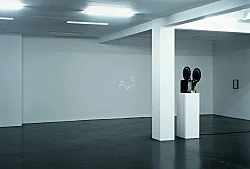Pumhösl 2007 — Florian Pumhösl — Exhibitions — Galerie Buchholz — Image 26