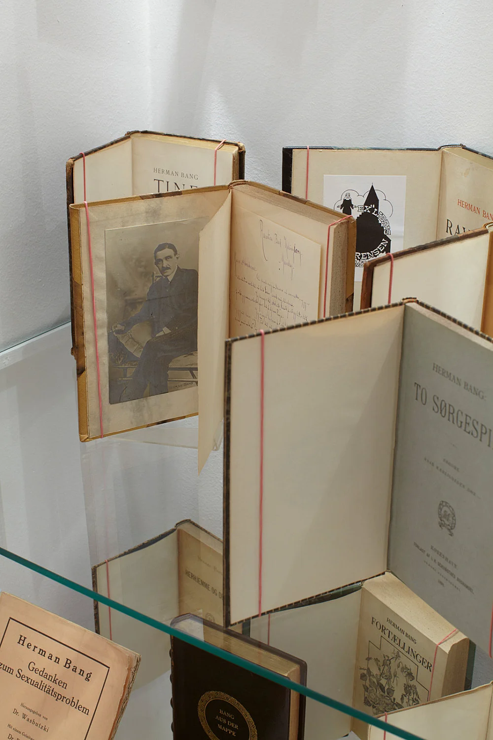 zusammengestellt von Henrik Olesen amp Daniel Buchholz — Bücher, Manuskripte und Briefe von Herman Bang 1857-1912 — Exhibitions — Galerie Buchholz — Image 00