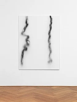 Systemic Relevance — Michael Krebber — Exhibitions — Galerie Buchholz — Image 52