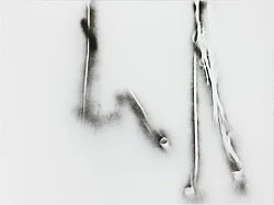 Systemic Relevance — Michael Krebber — Exhibitions — Galerie Buchholz — Image 63