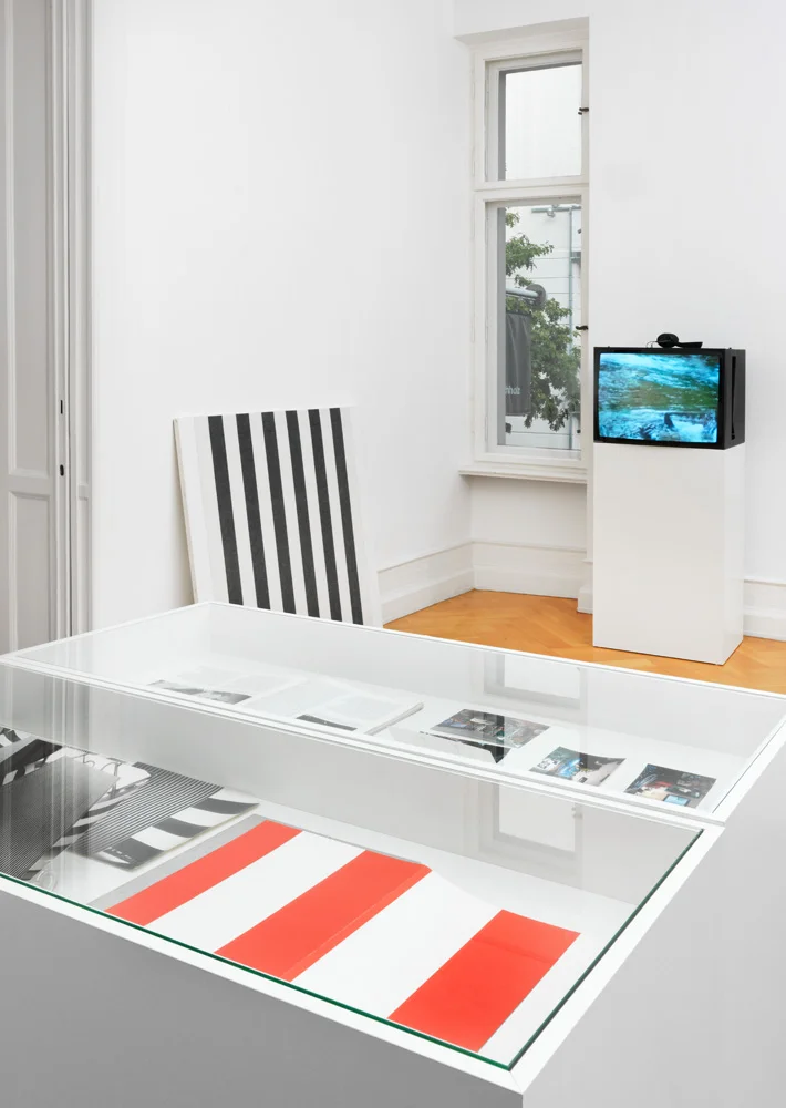 Pictures, Before and After An Exhibition for Douglas Crimp — Daniel Buren, Charles James, Antonio Lopez, Agnes Martin, Joseph Cornell, Robert Smithson, The Cockettes, Jack Smith,... — Exhibitions — Galerie Buchholz — Image 14