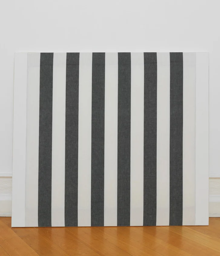 Pictures, Before and After An Exhibition for Douglas Crimp — Daniel Buren, Charles James, Antonio Lopez, Agnes Martin, Joseph Cornell, Robert Smithson, The Cockettes, Jack Smith,... — Exhibitions — Galerie Buchholz — Image 15