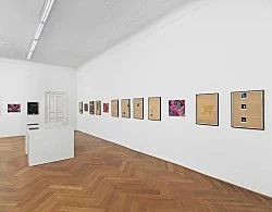 Richard Hawkins Berlin 2014 — Richard Hawkins amp William S Burroughs Cerith Wyn Evans Isa Genzken Tom of Finland — Exhibitions — Galerie Buchholz — Image 92