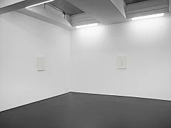 Liz Deschenes Florian Pumhösl Köln 2014 — Liz Deschenes Florian Pumhösl — Exhibitions — Galerie Buchholz — Image 21