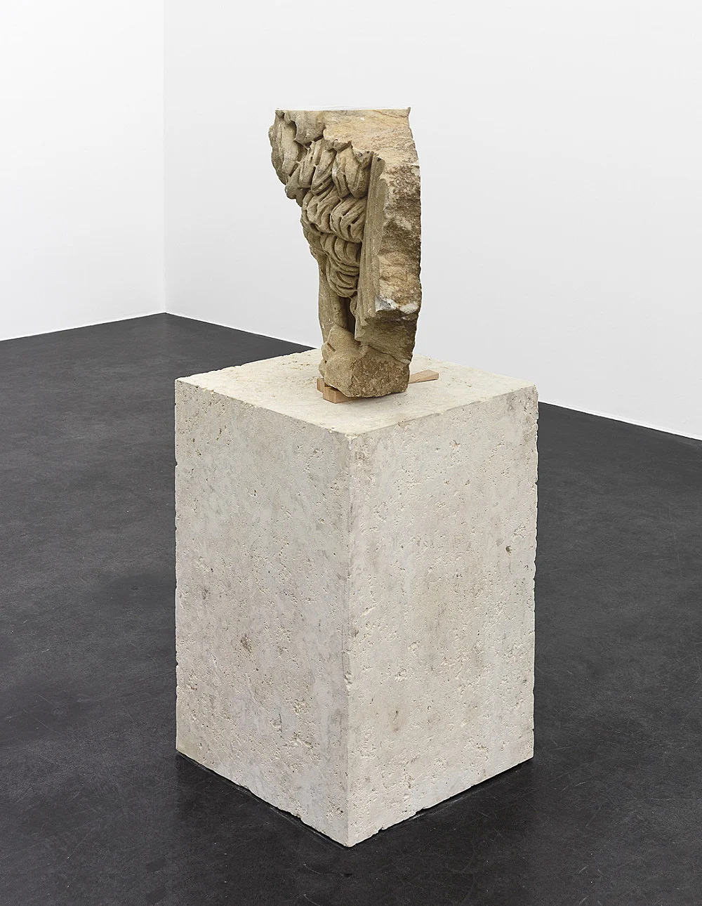 Danh Vo Peter Hujar, Köln 2015 — Danh Vo Peter Hujar — Exhibitions — Galerie Buchholz — Image 14