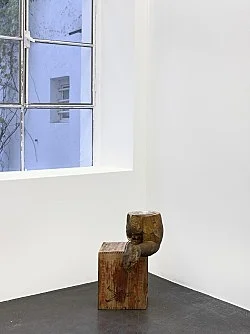 Danh Vo Peter Hujar, Köln 2015 — Danh Vo Peter Hujar — Exhibitions — Galerie Buchholz — Image 36