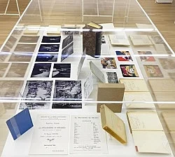 Raymond Roussel New York 2015 — Raymond Roussel — Exhibitions — Galerie Buchholz — Image 207