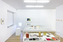 Raymond Roussel New York 2015 — Raymond Roussel — Exhibitions — Galerie Buchholz — Image 209