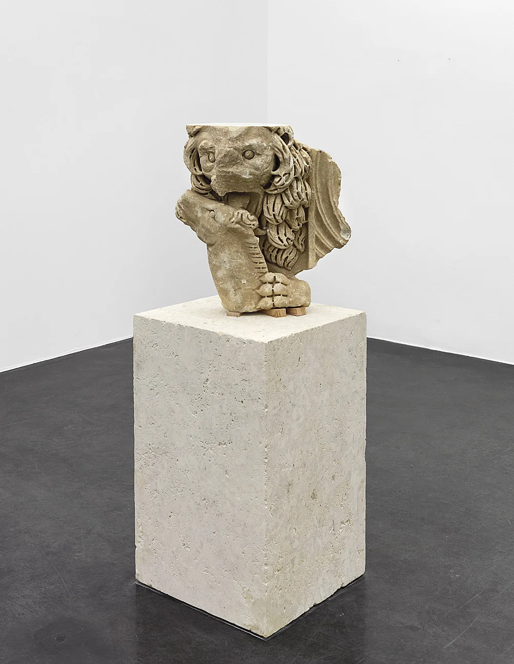 Danh Vo Peter Hujar, Köln 2015 — Danh Vo Peter Hujar — Exhibitions — Galerie Buchholz — Image 12