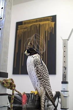 Anne Imhof Köln 2016 — Anne Imhof — Exhibitions — Galerie Buchholz — Image 122