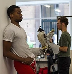 Anne Imhof Köln 2016 — Anne Imhof — Exhibitions — Galerie Buchholz — Image 100