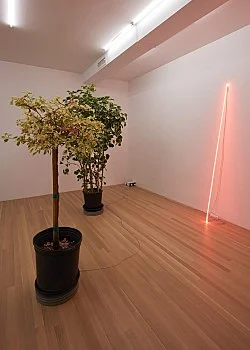 shadefrequency — Cerith Wyn Evans — Exhibitions — Galerie Buchholz — Image 54