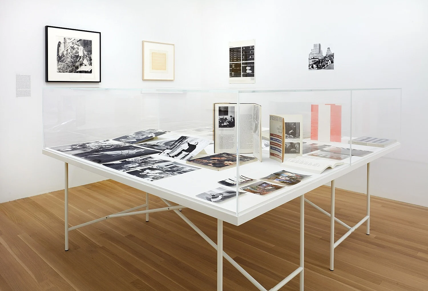 Douglas Crimp Before Pictures New York City 1967-1977 — Alvin Baltrop, Daniel Buren, The Cockettes, Joseph Cornell, Walker Evans, Jack Goldstein, Guy Hocquenghem, Peter... — Exhibitions — Galerie Buchholz — Image 40