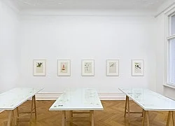 Mayo Thompson Berlin 2016 — Mayo Thompson — Exhibitions — Galerie Buchholz — Image 130