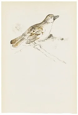 Mayo Thompson Berlin 2016 — Mayo Thompson — Exhibitions — Galerie Buchholz — Image 169