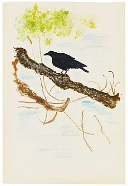 Mayo Thompson Berlin 2016 — Mayo Thompson — Exhibitions — Galerie Buchholz — Image 170