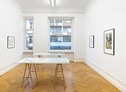 Mayo Thompson Berlin 2016 — Mayo Thompson — Exhibitions — Galerie Buchholz — Image 95