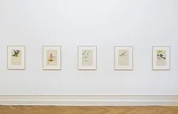 Mayo Thompson Berlin 2016 — Mayo Thompson — Exhibitions — Galerie Buchholz — Image 165