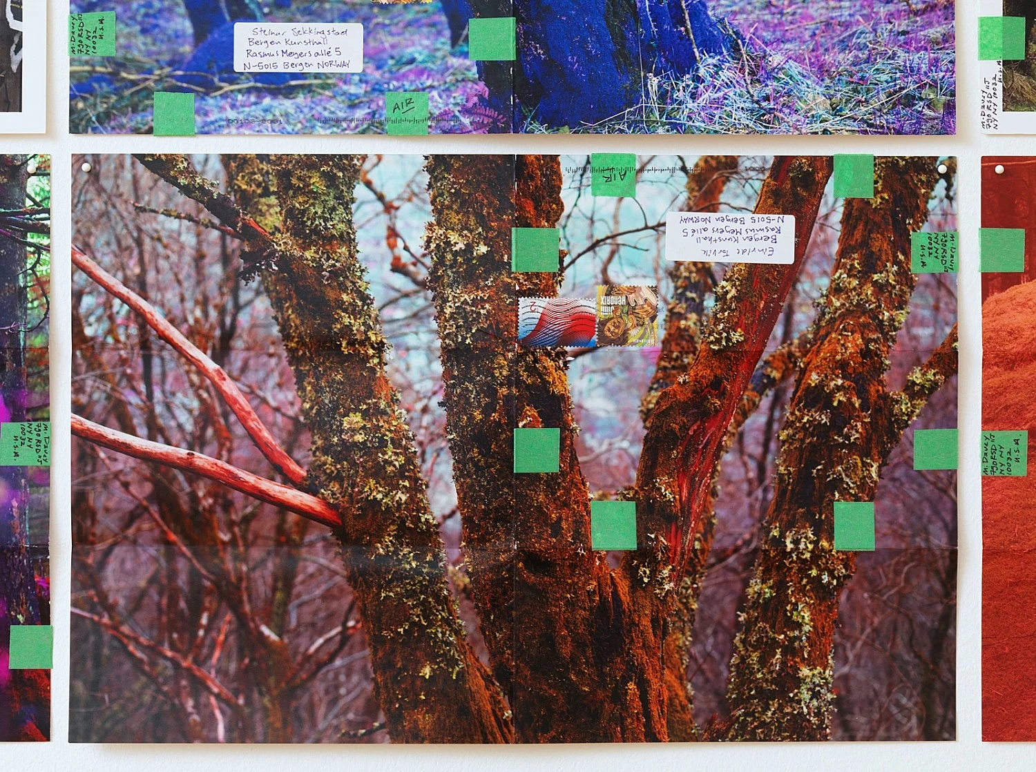 Portrait Landscape — Moyra Davey — Exhibitions — Galerie Buchholz — Image 21