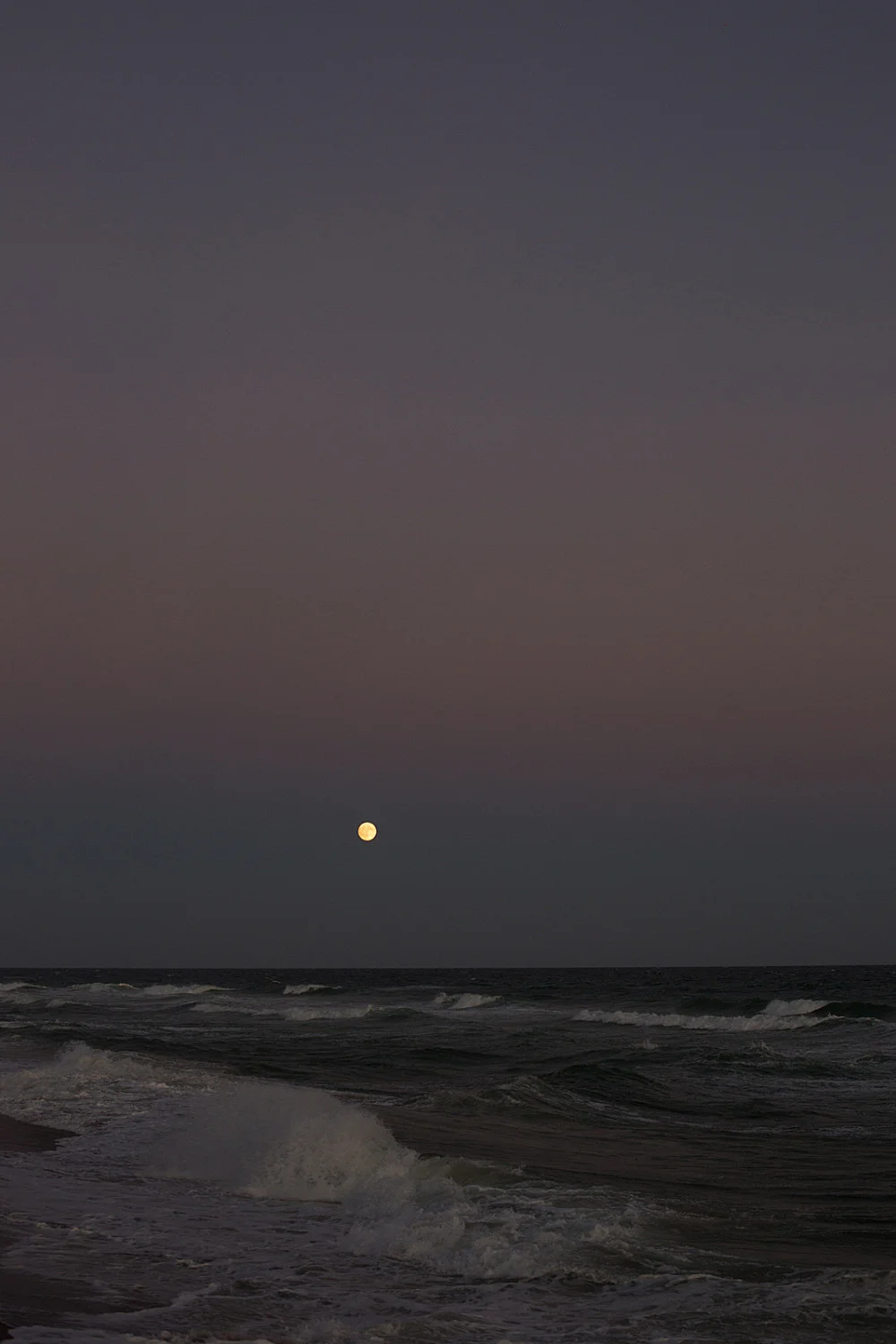 Fest — Wolfgang Tillmans — Exhibitions — Galerie Buchholz — Image 43