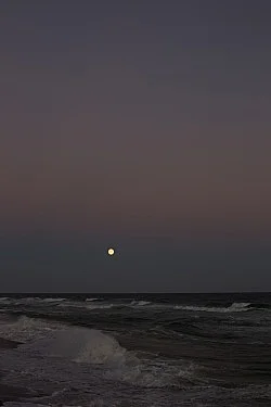 Fest — Wolfgang Tillmans — Exhibitions — Galerie Buchholz — Image 92