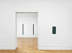 Florian Pumhösl Berlin 2018 — Florian Pumhösl — Exhibitions — Galerie Buchholz — Image 39