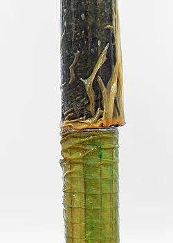 Außenprojekte — Isa Genzken — Exhibitions — Galerie Buchholz — Image 123