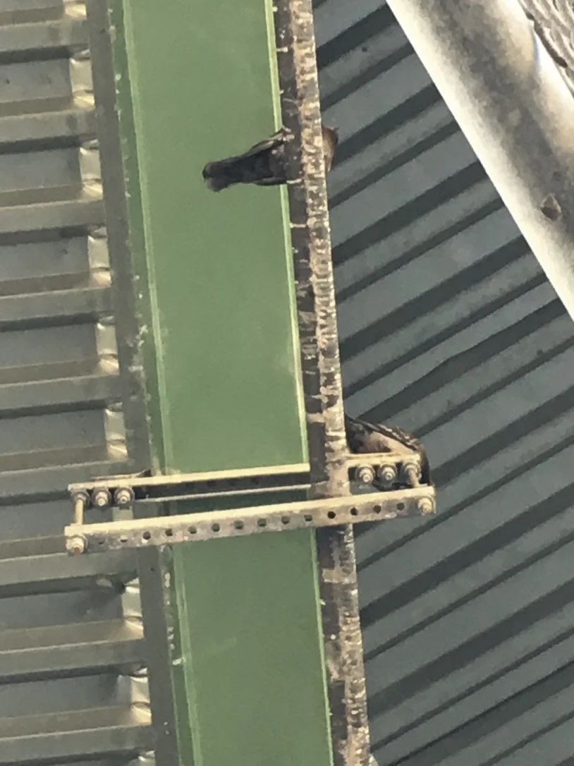 Vista View an exhibition curated by Caleb Considine — Tomma Abts, Ginny Bishton, Whitney Claflin, Carlfriedrich Claus, Ralston Crawford, Norman Lewis, Agnes Martin, Mohammad... — Exhibitions — Galerie Buchholz — Image 04