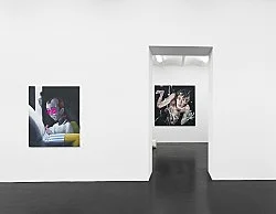 Ritratto dun capello inquietante — Julien Ceccaldi Nicolas Ceccaldi Mathieu Malouf Heji Shin — Exhibitions — Galerie Buchholz — Image 53