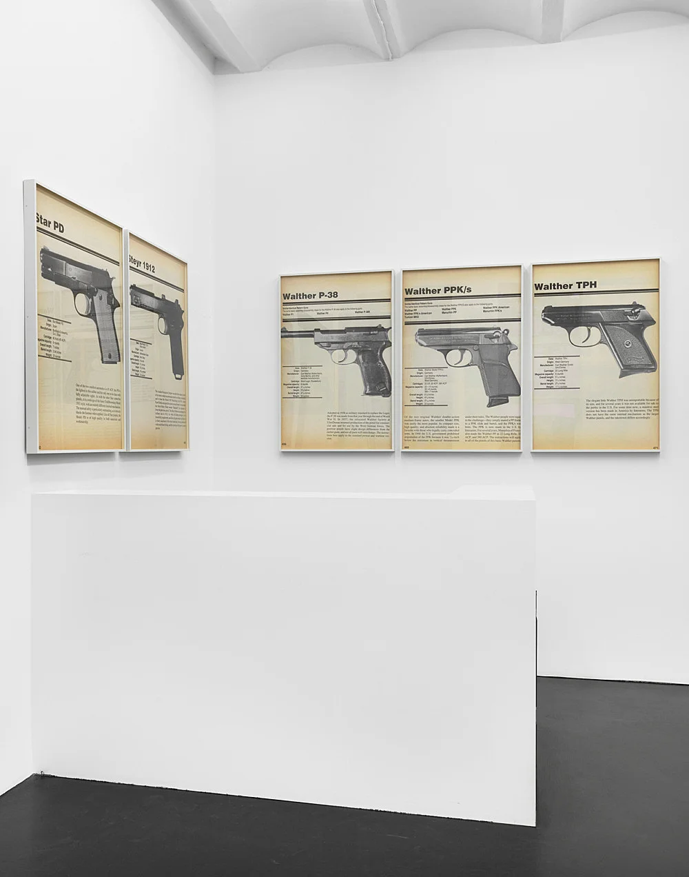 FIREARMS — Lutz Bacher — Exhibitions — Galerie Buchholz — Image 20