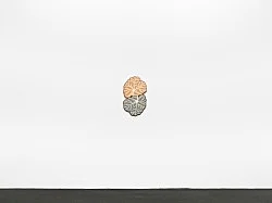 Visualities — Ulla Wiggen — Exhibitions — Galerie Buchholz — Image 38