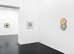 Visualities — Ulla Wiggen — Exhibitions — Galerie Buchholz — Image 40