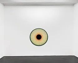 Visualities — Ulla Wiggen — Exhibitions — Galerie Buchholz — Image 24