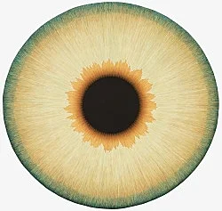 Visualities — Ulla Wiggen — Exhibitions — Galerie Buchholz — Image 31