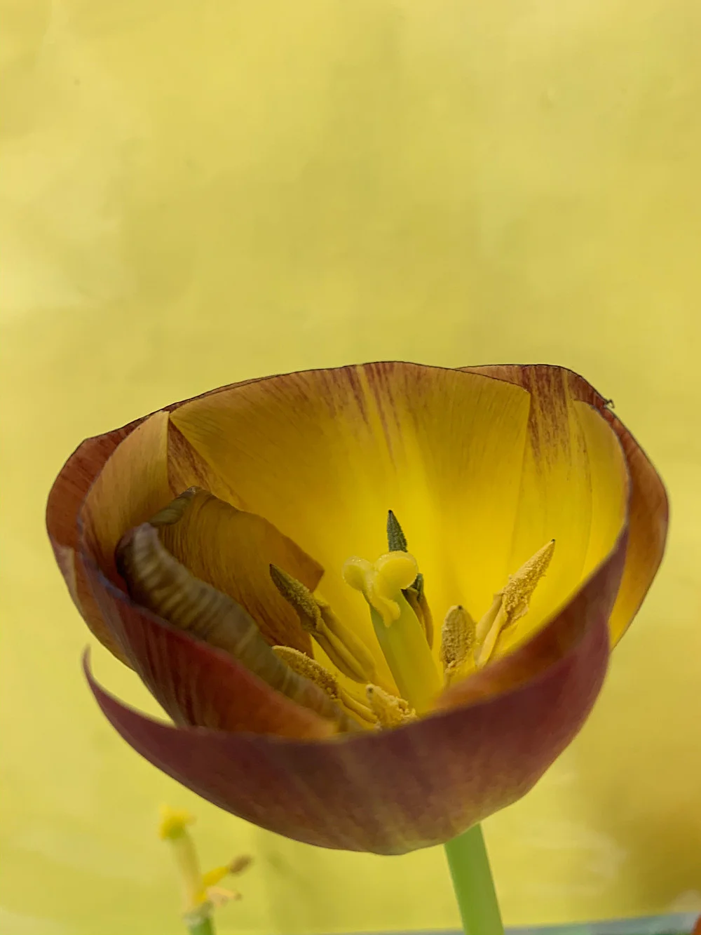 Wolfgang Tillmans Berlin 2020 — Wolfgang Tillmans — Exhibitions — Galerie Buchholz — Image 28