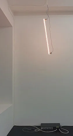 Being and Neonthingness — Cerith Wyn Evans — Exhibitions — Galerie Buchholz — Image 20