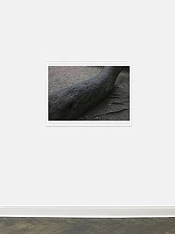 Wolfgang Tillmans Berlin 2020 — Wolfgang Tillmans — Exhibitions — Galerie Buchholz — Image 110