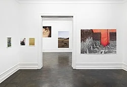 Wolfgang Tillmans Berlin 2020 — Wolfgang Tillmans — Exhibitions — Galerie Buchholz — Image 123