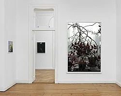 Wolfgang Tillmans Berlin 2020 — Wolfgang Tillmans — Exhibitions — Galerie Buchholz — Image 78