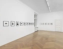 Alvin Baltrop Berlin 2021 — Alvin Baltrop — Exhibitions — Galerie Buchholz — Image 157
