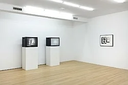 The Lee Harvey Oswald Interview — Lutz Bacher — Exhibitions — Galerie Buchholz — Image 53