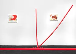 Digestion — Henrik Olesen — Exhibitions — Galerie Buchholz — Image 58