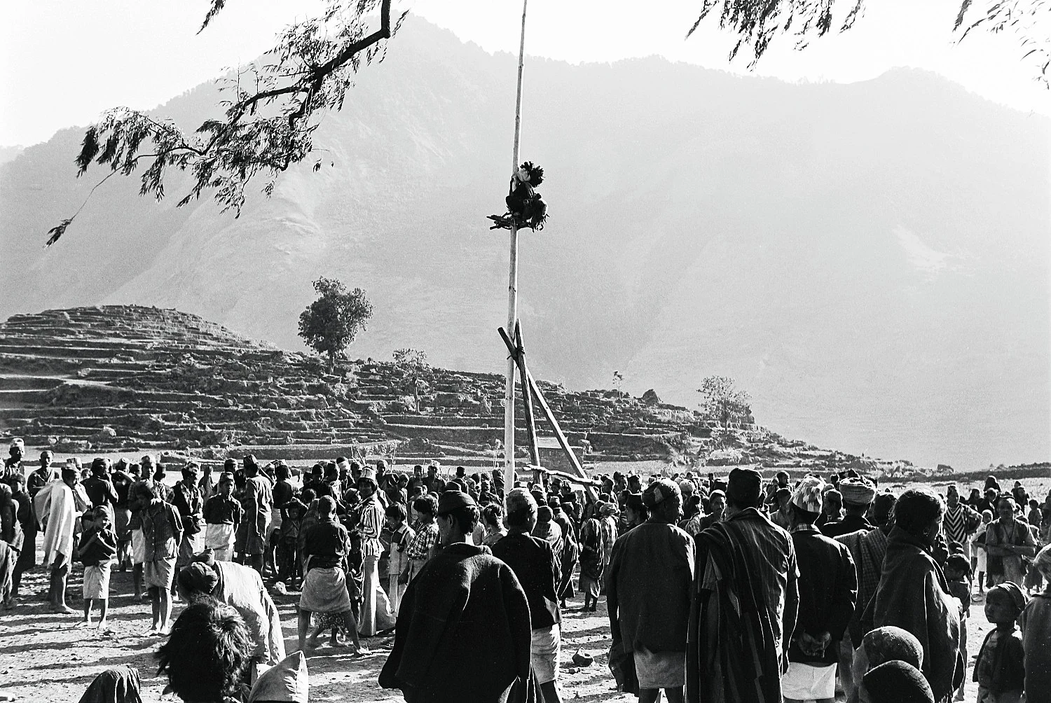 Singers of Ten Thousand Lines — Michael Oppitz — Exhibitions — Galerie Buchholz — Image 51