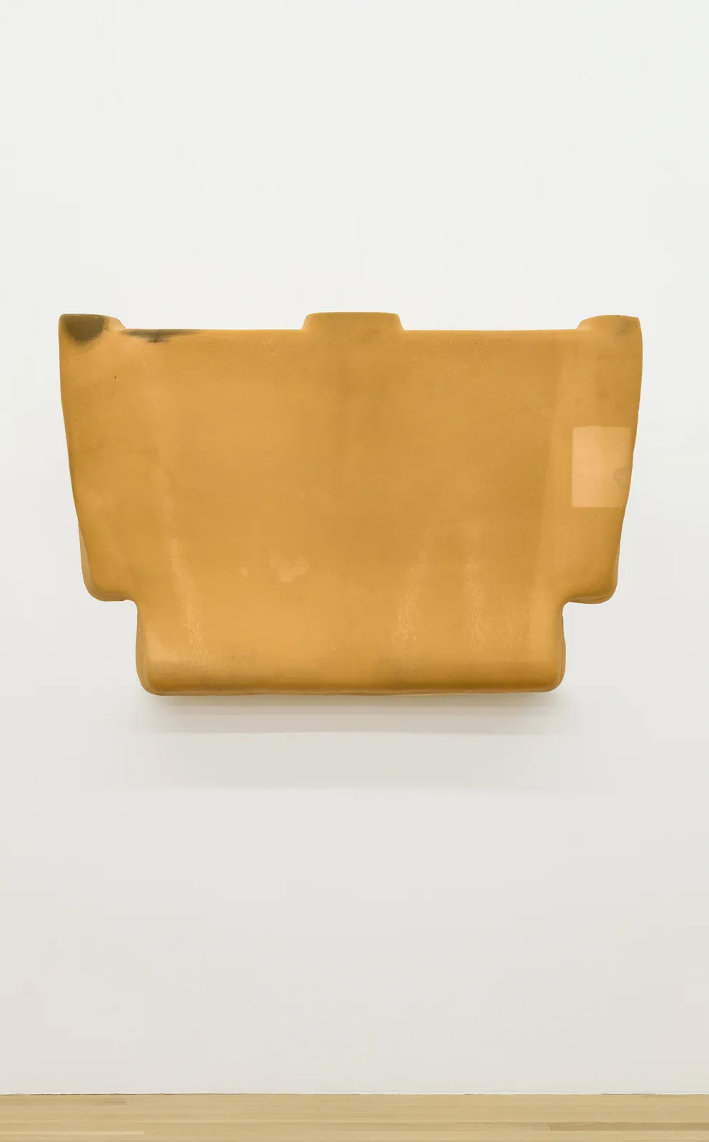 and a footnote on the idea of natural history in Jack Smith an exhibition organized with Juliane Rebentisch — Lutz Bacher, Isa Genzken, Anne Imhof, Michael Krebber, Henrik Olesen, Josephine Pryde — Exhibitions — Galerie Buchholz — Image 00