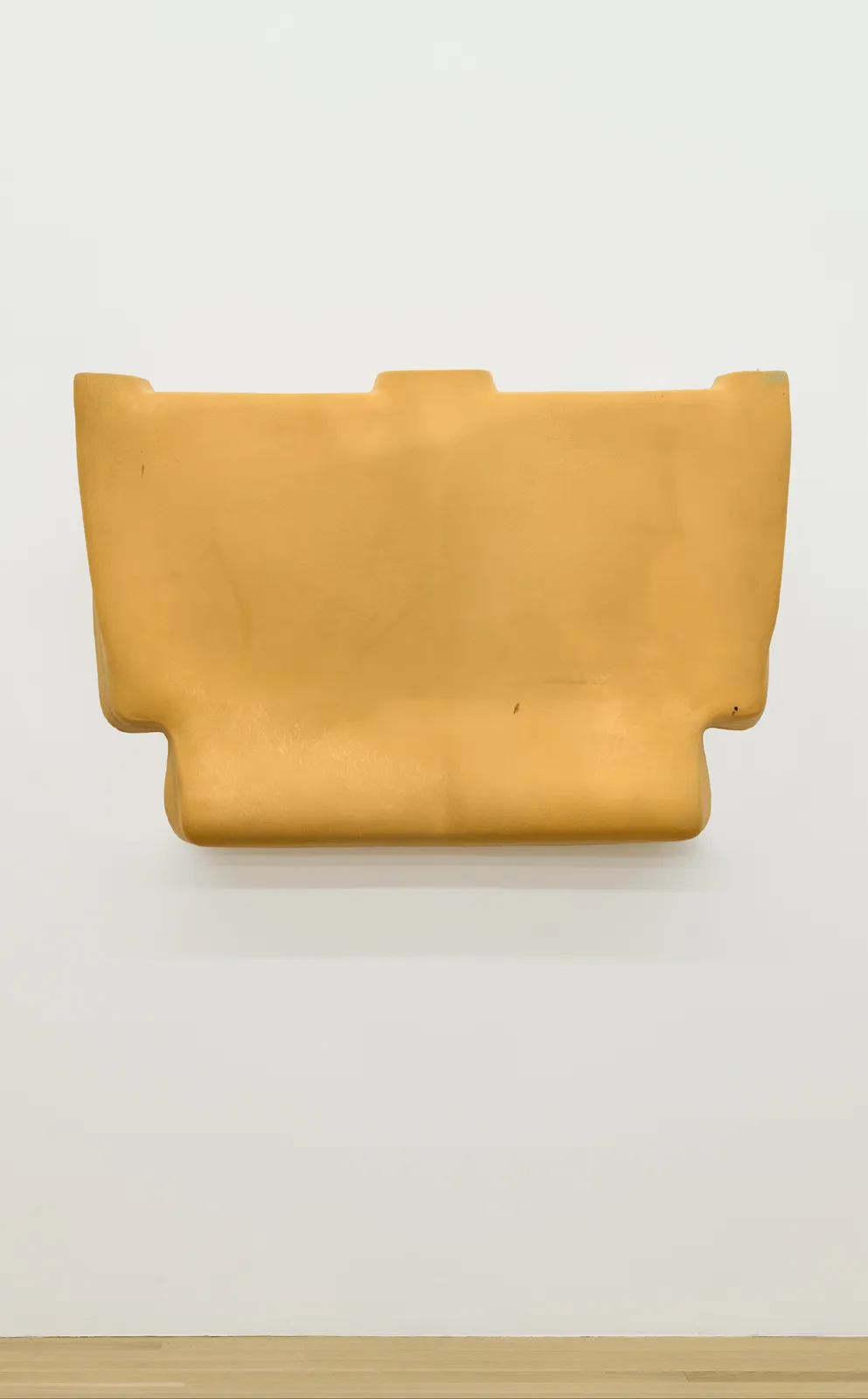 and a footnote on the idea of natural history in Jack Smith an exhibition organized with Juliane Rebentisch — Lutz Bacher, Isa Genzken, Anne Imhof, Michael Krebber, Henrik Olesen, Josephine Pryde — Exhibitions — Galerie Buchholz — Image 00