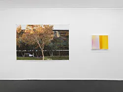 Summer Storm Rain Drops Freeze Frame — Wolfgang Tillmans — Exhibitions — Galerie Buchholz — Image 116