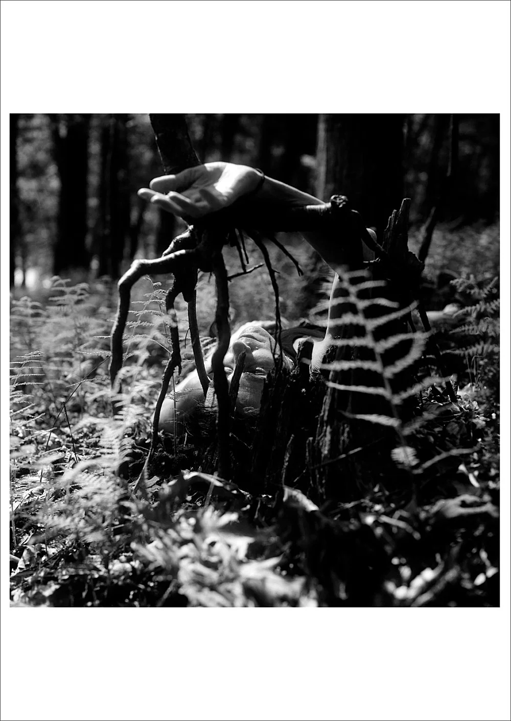 Forks amp Spoons, curated by m.d. — Moyra Davey Justine Kurland Shala Miller Alix Cléo Roubaud Carla Williams Francesca Woodman — Exhibitions — Galerie Buchholz — Image 01