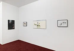 Eurostar — Samuel Hindolo — Exhibitions — Galerie Buchholz — Image 45